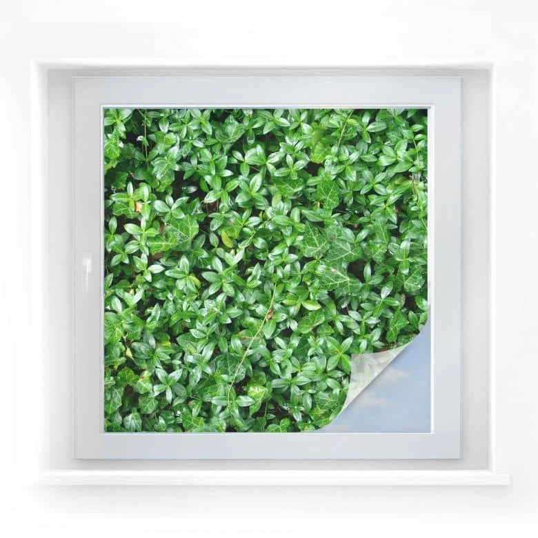 wall-art-1427777