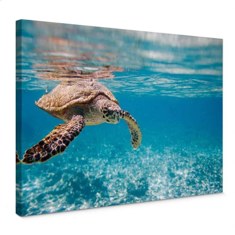 wall-art-1428463