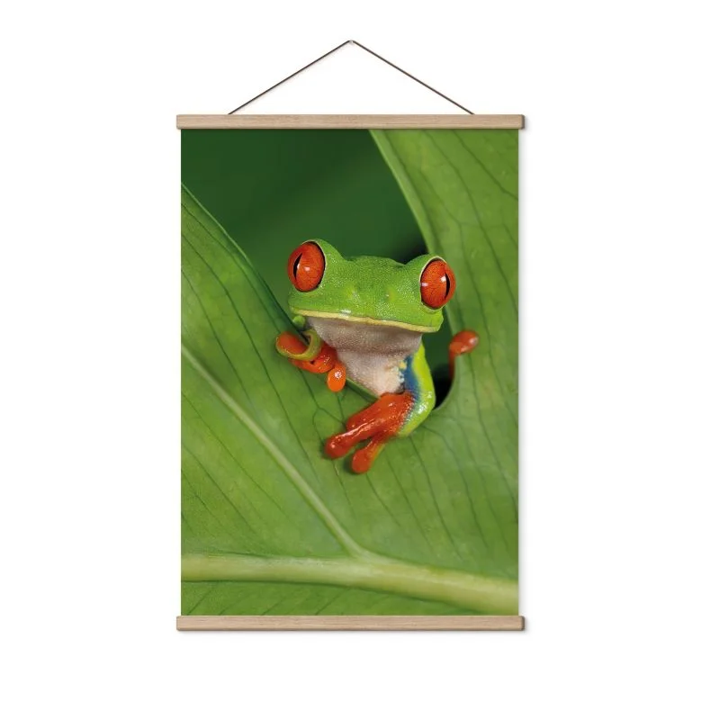 wall-art-1432587
