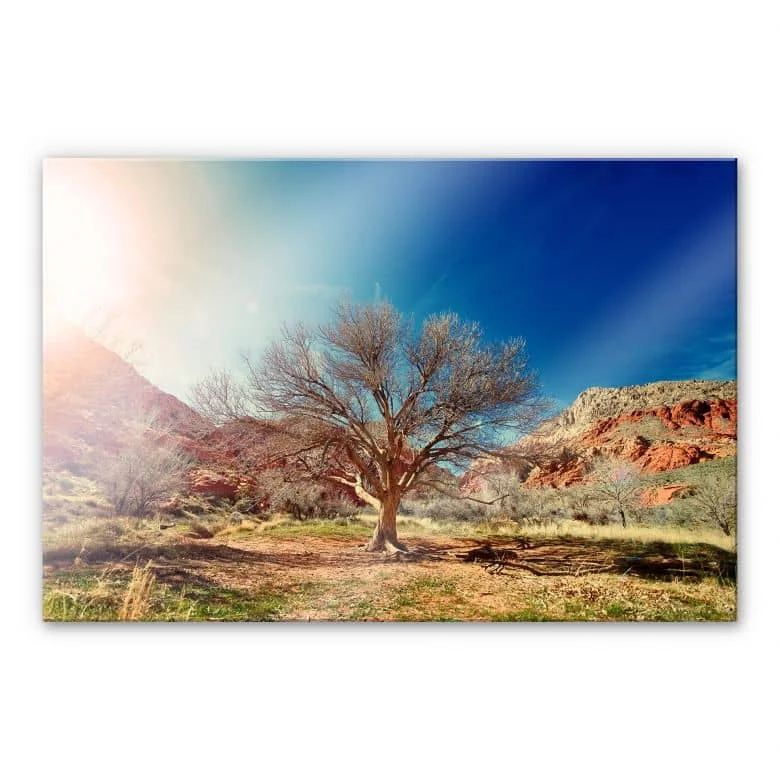 wall-art-1434742