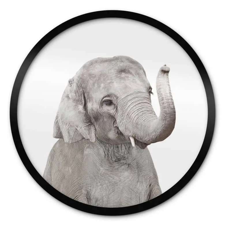 wall-art-1435905