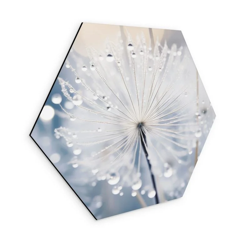 wall-art-1437276