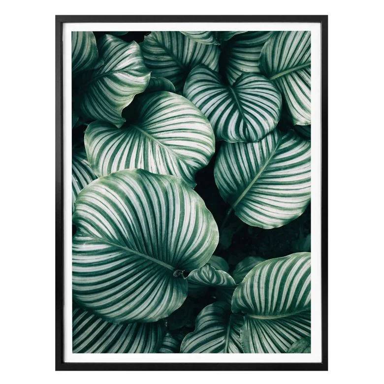 wall-art-1445172