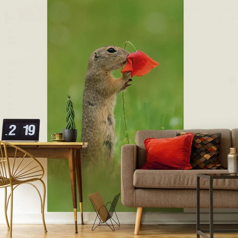 wall-art-1445217