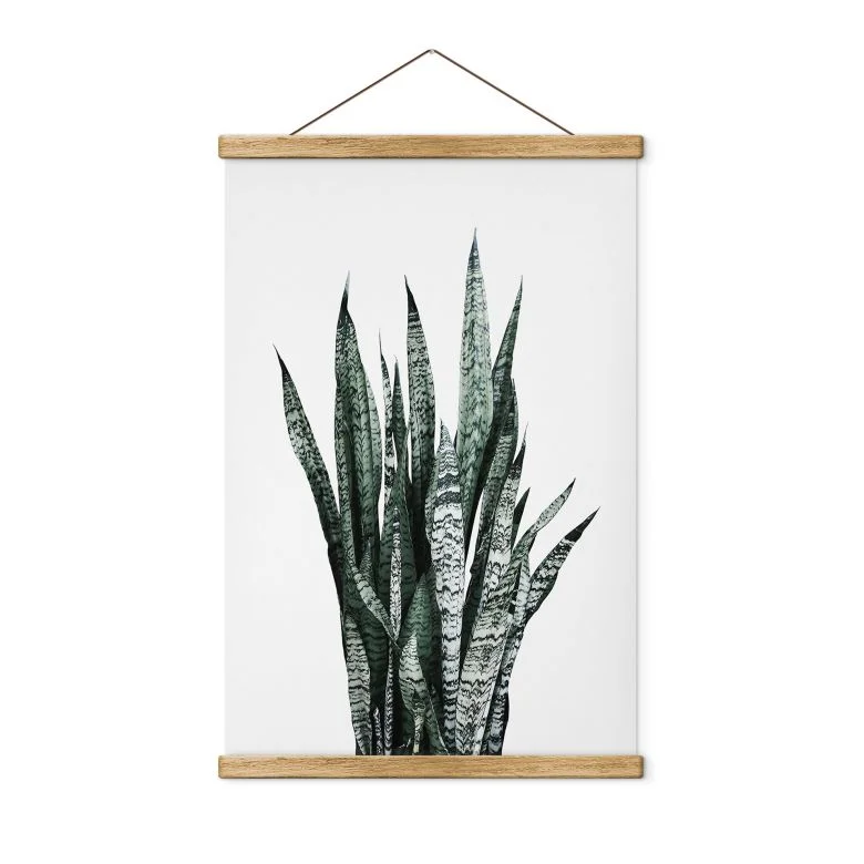 wall-art-1447727