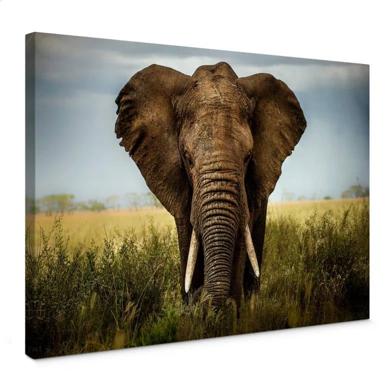 wall-art-1449572