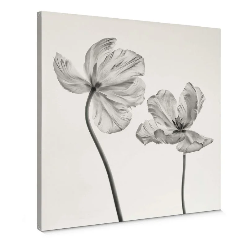 wall-art-1449870