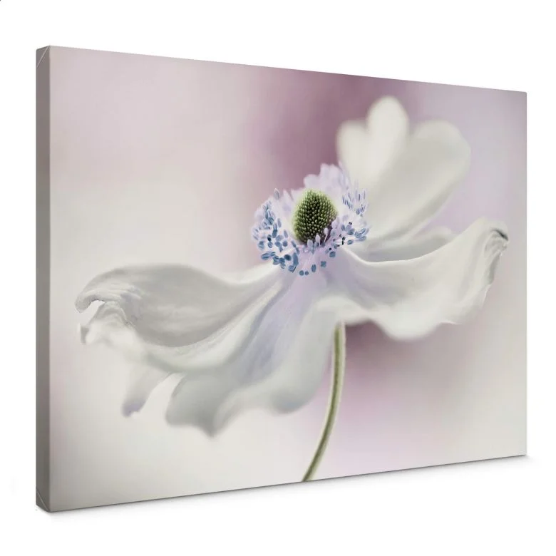 wall-art-1452492