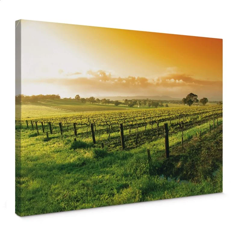 wall-art-1454935