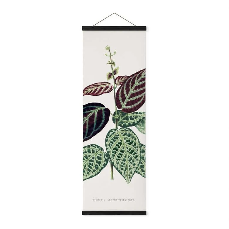 wall-art-1454946